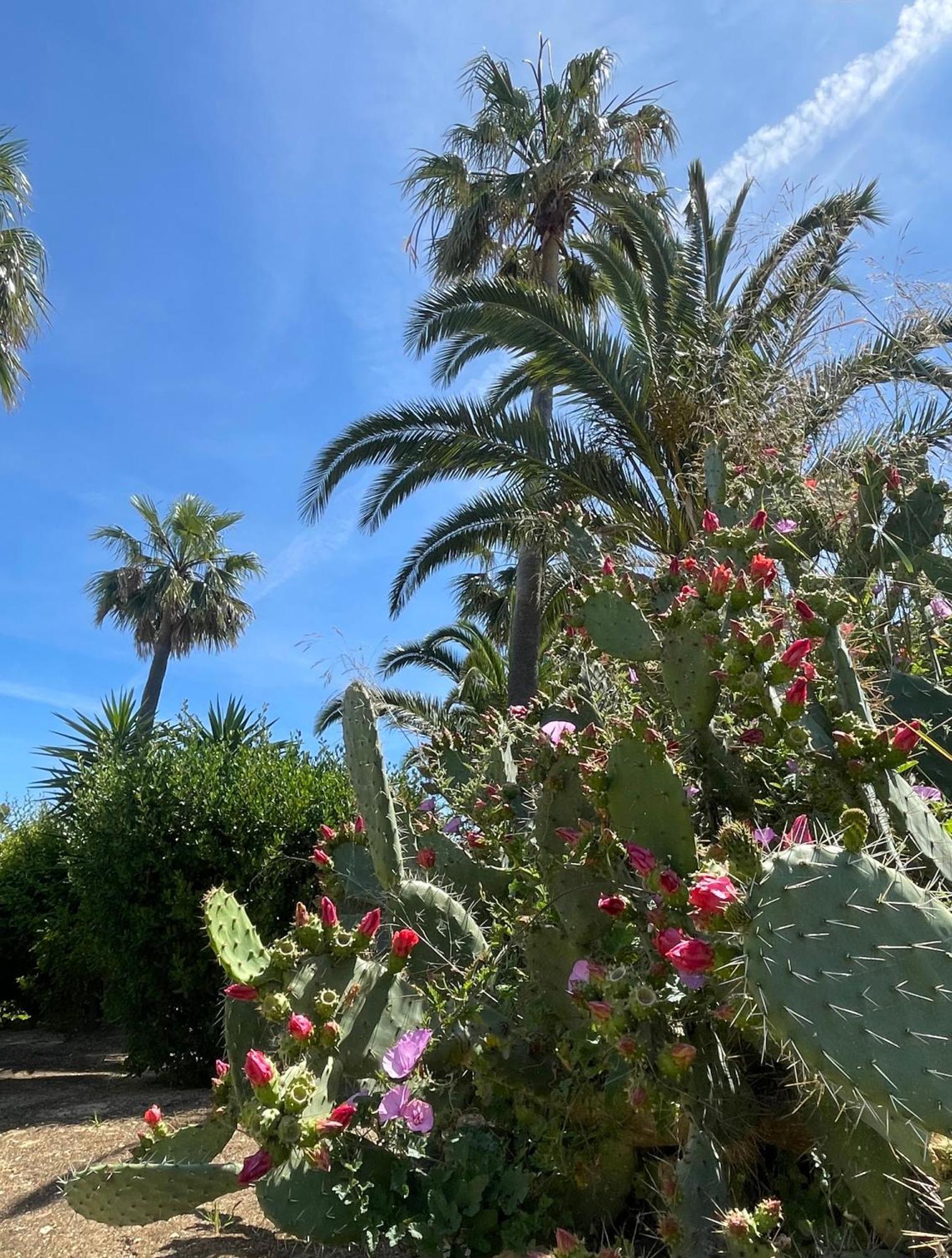 Casa Atlantida Golfemar Διαμέρισμα Καρβοέιρο Εξωτερικό φωτογραφία
